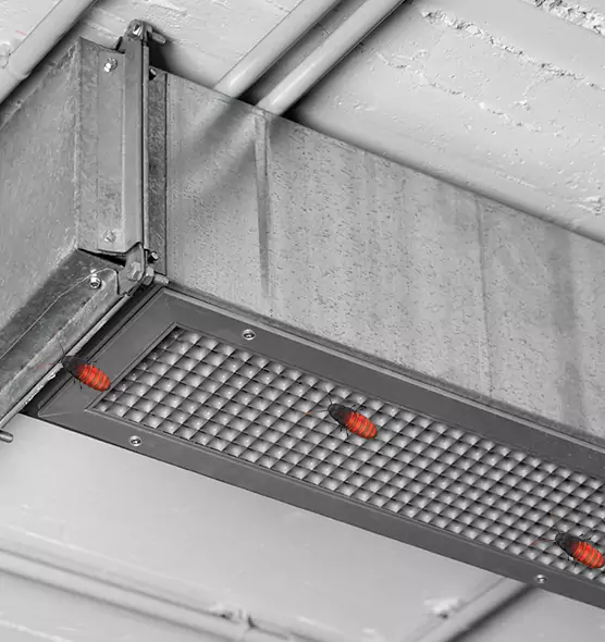 About Air Duct Cockroach Removal in Hanford, CA