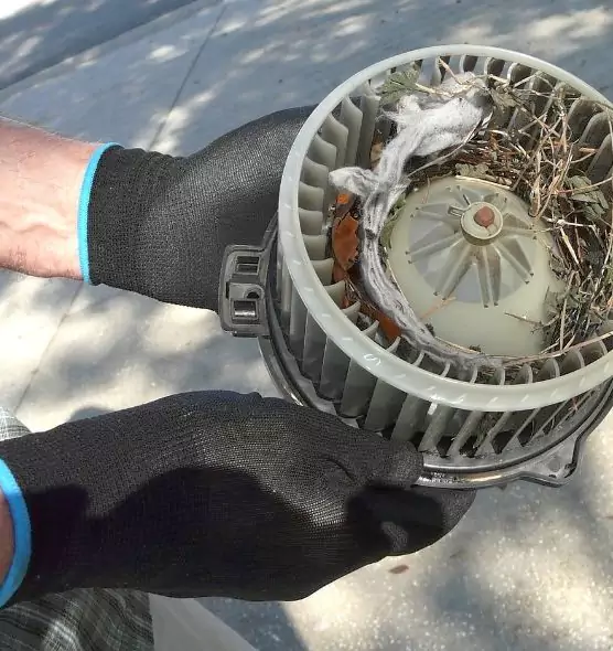 About Air Duct Rat Removal in Hanford, CA