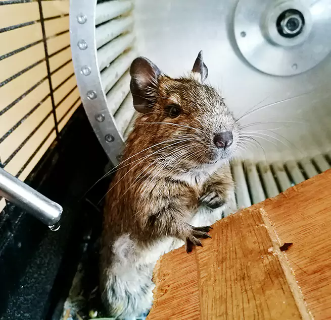 Why Homeowners & Businesses Trust Us Hanford, CA