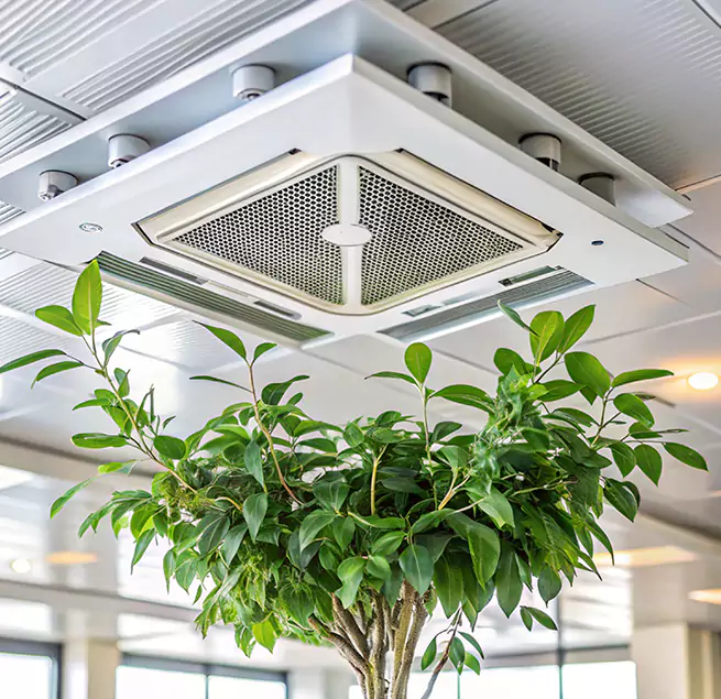 Why Homeowners & Businesses Trust Us in Hanford, CA?